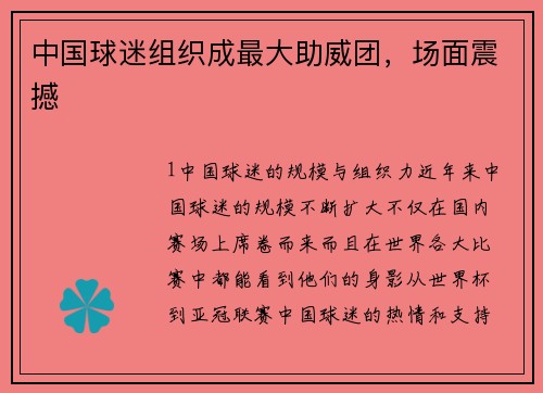 中国球迷组织成最大助威团，场面震撼