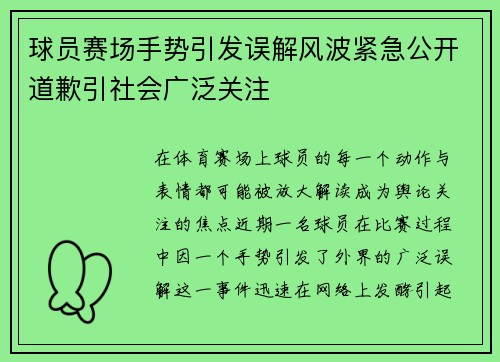 球员赛场手势引发误解风波紧急公开道歉引社会广泛关注